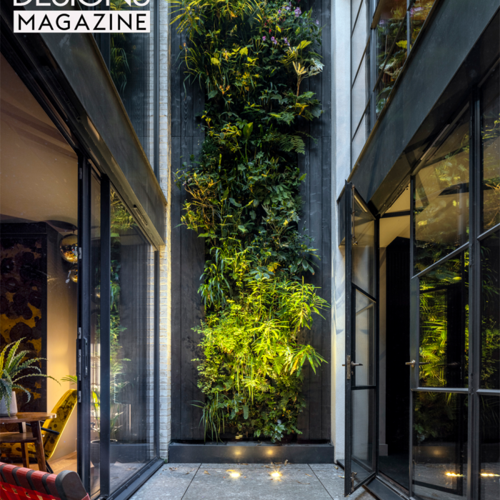 Grand Designs publish No Ordinary House by Mulroy Architects